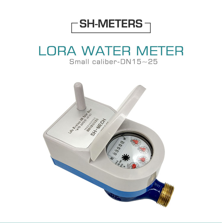LORA_01